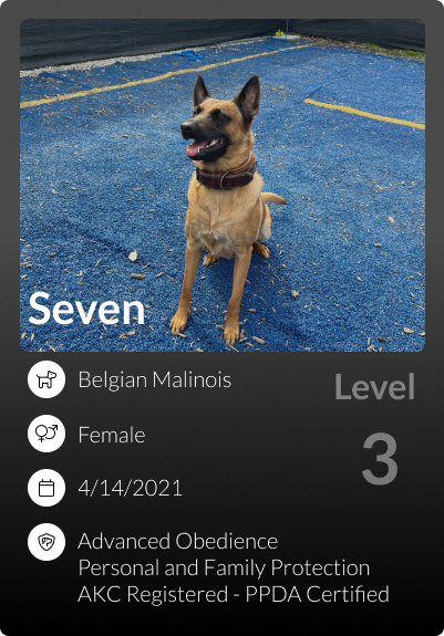 Seven