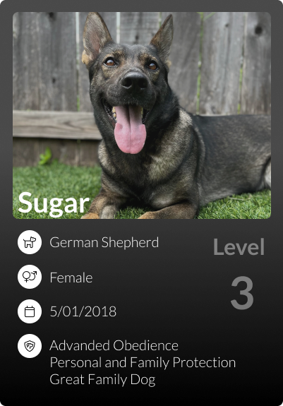 Sugar