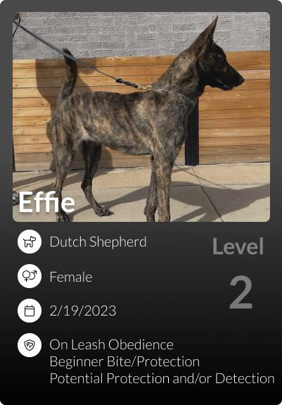 Effie
