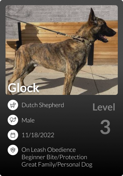 Glock