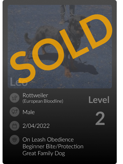 soldLeo